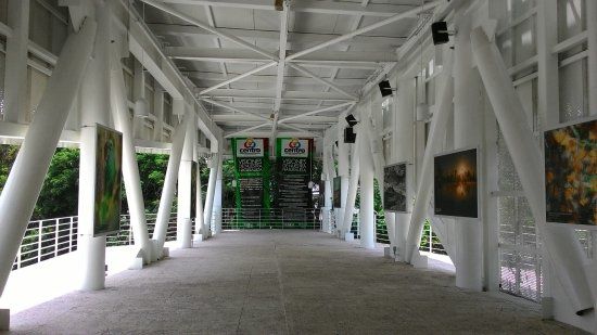 MUSEVI Museo Elevado de Villahermosa